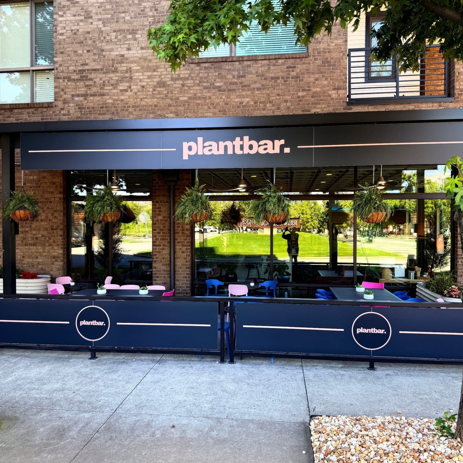 Plant Bar - Coffee and Tea photo 3