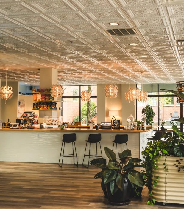 Plant Bar - Coffee and Tea photo 5