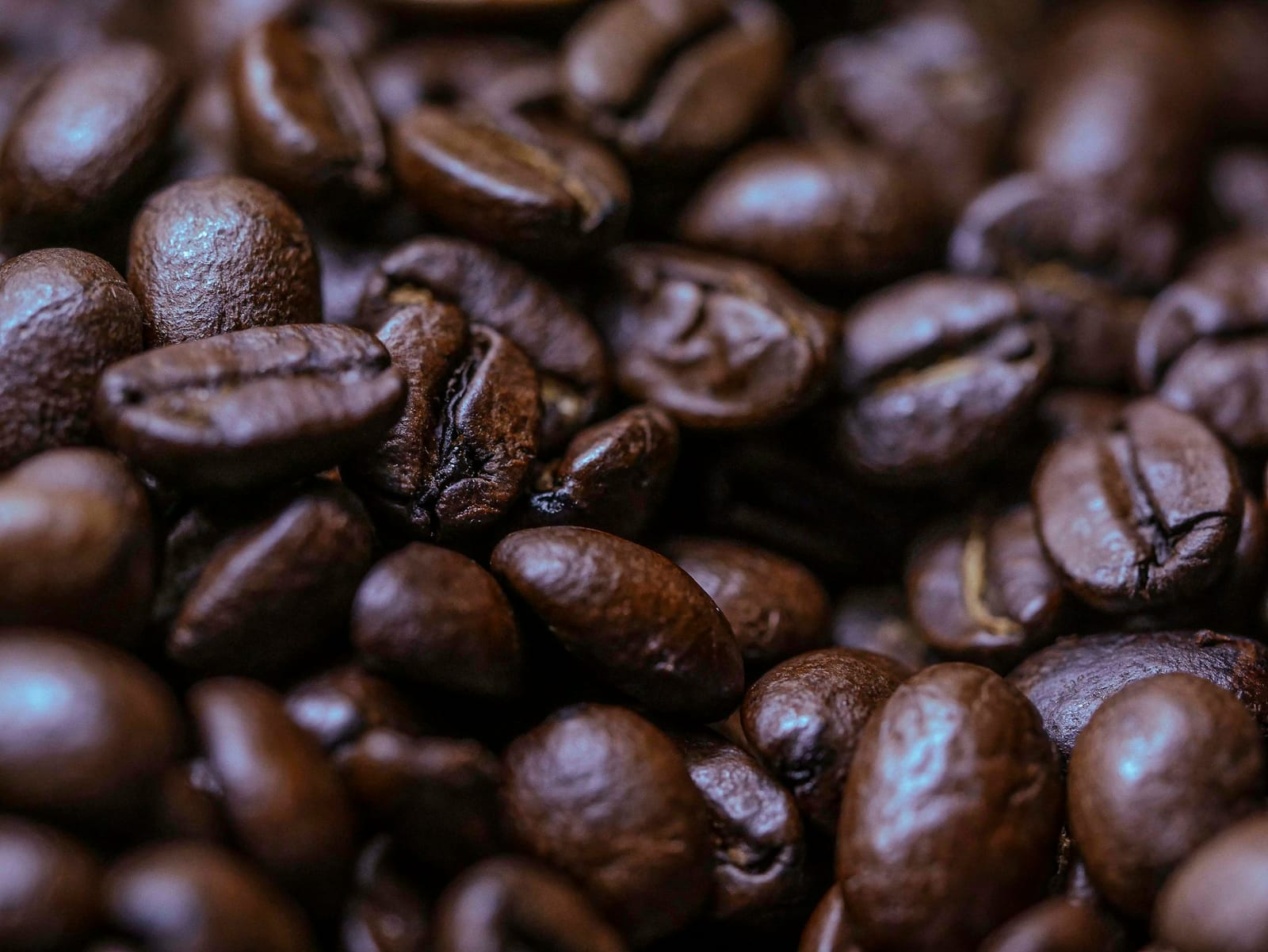 Muse Coffee Studio photo 3