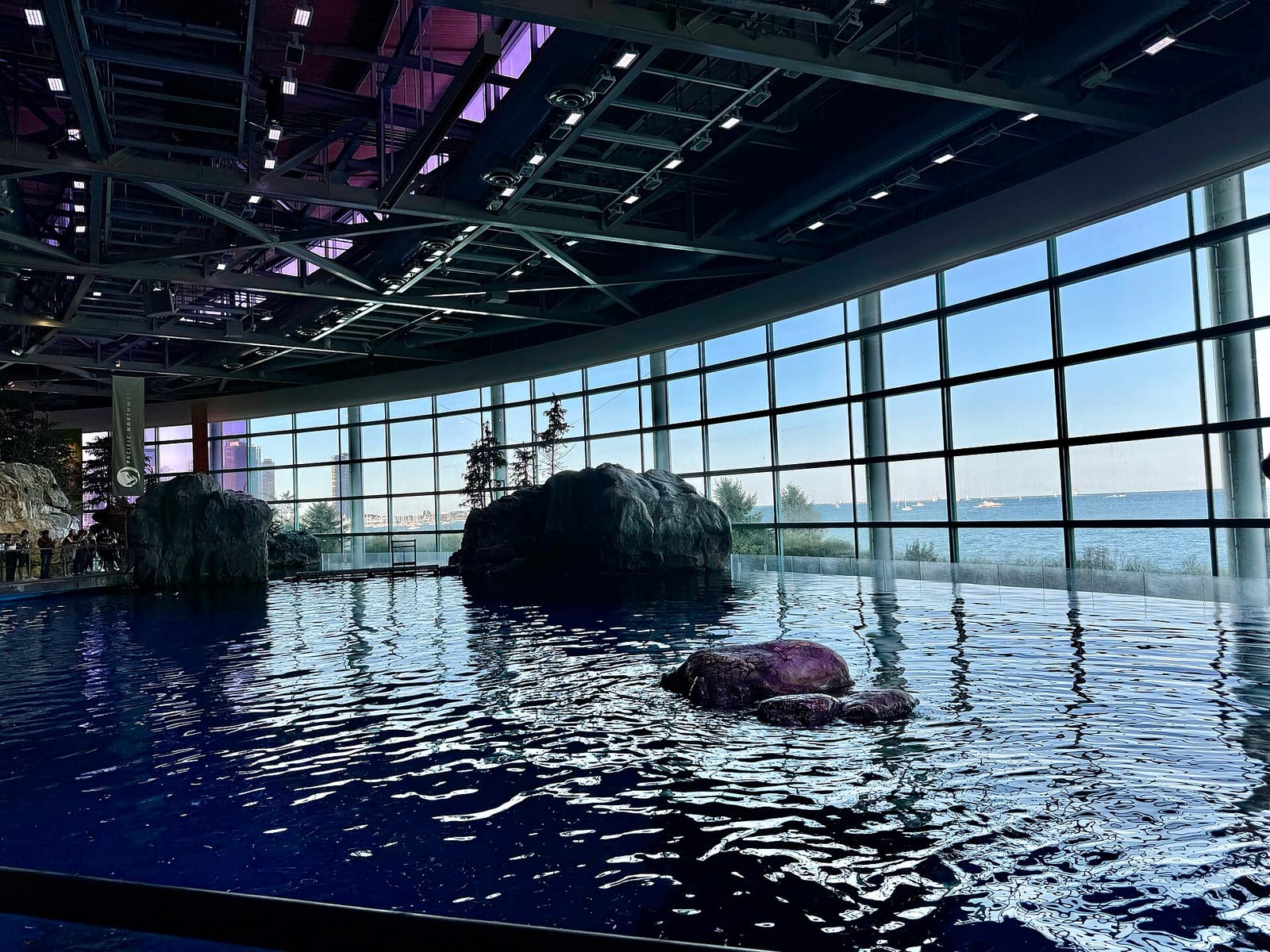 Deep Ocean Cafe photo 3