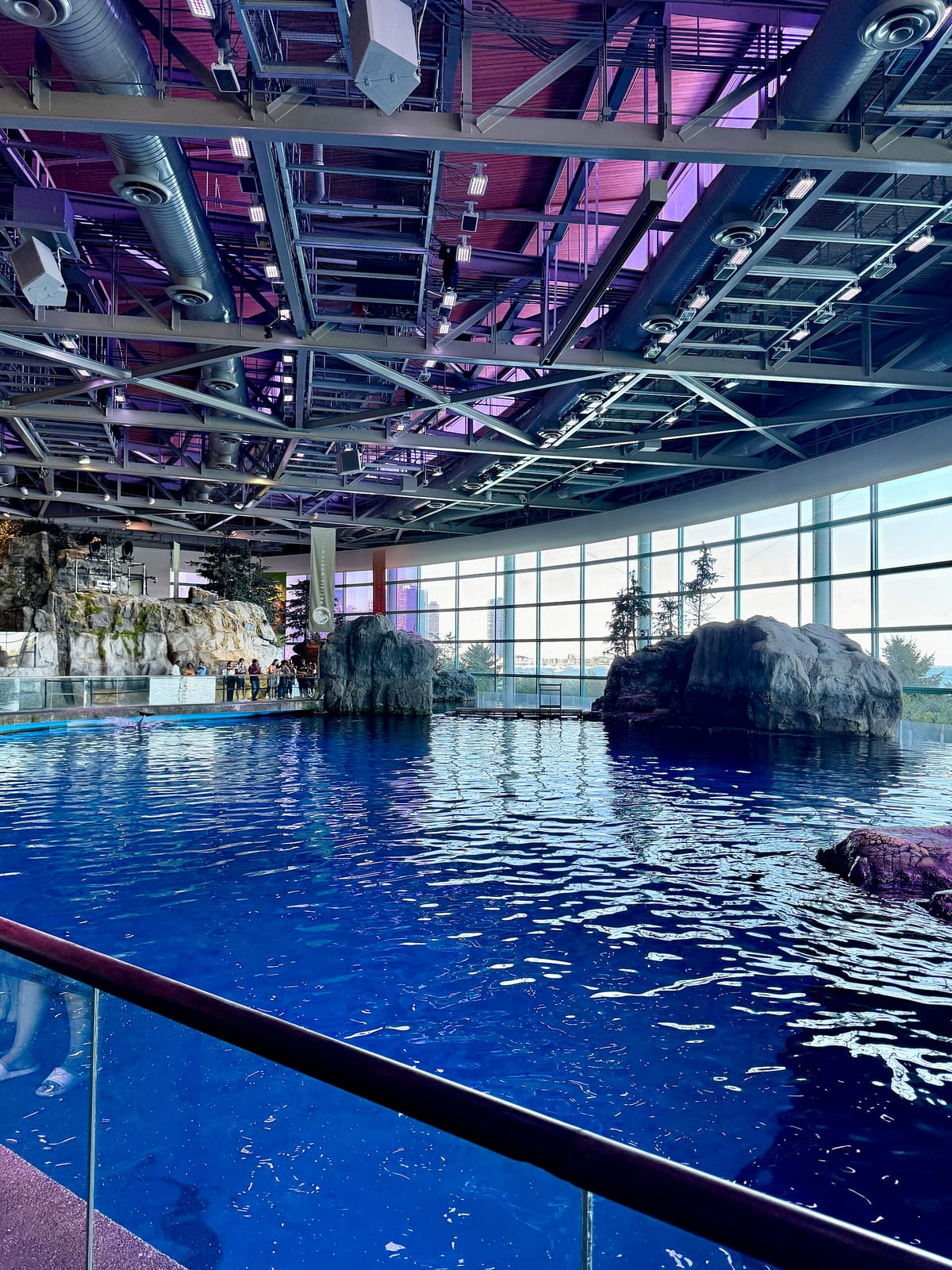 Deep Ocean Cafe photo 2