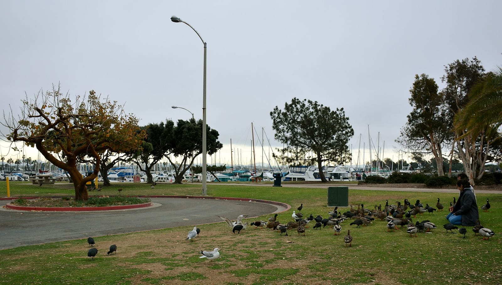 PCH Café & Market photo 2