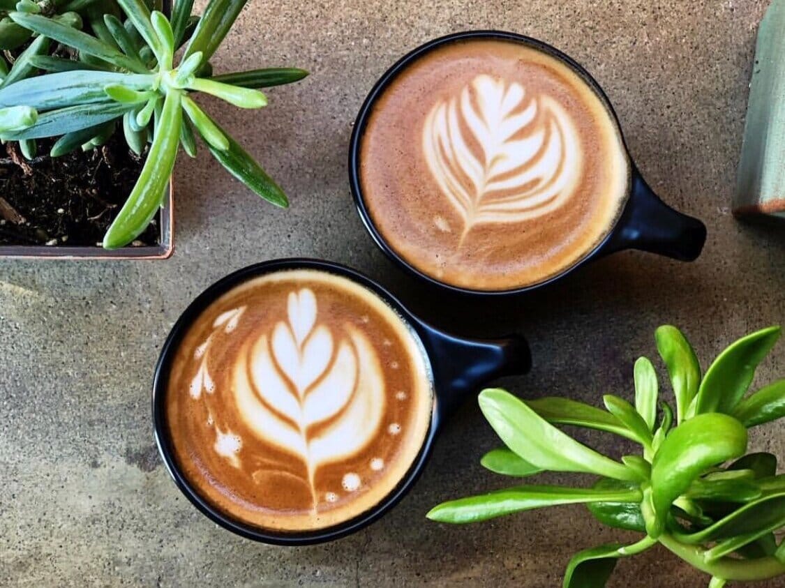 Two Cities Coffee Roasters photo 2