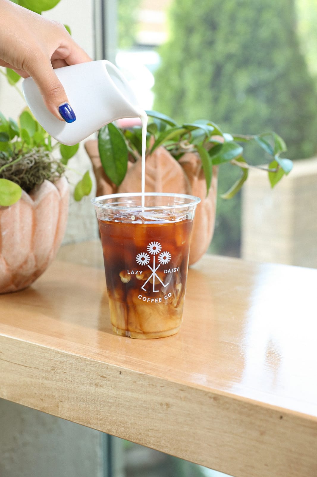 Lazy Daisy Coffee Co. photo 6