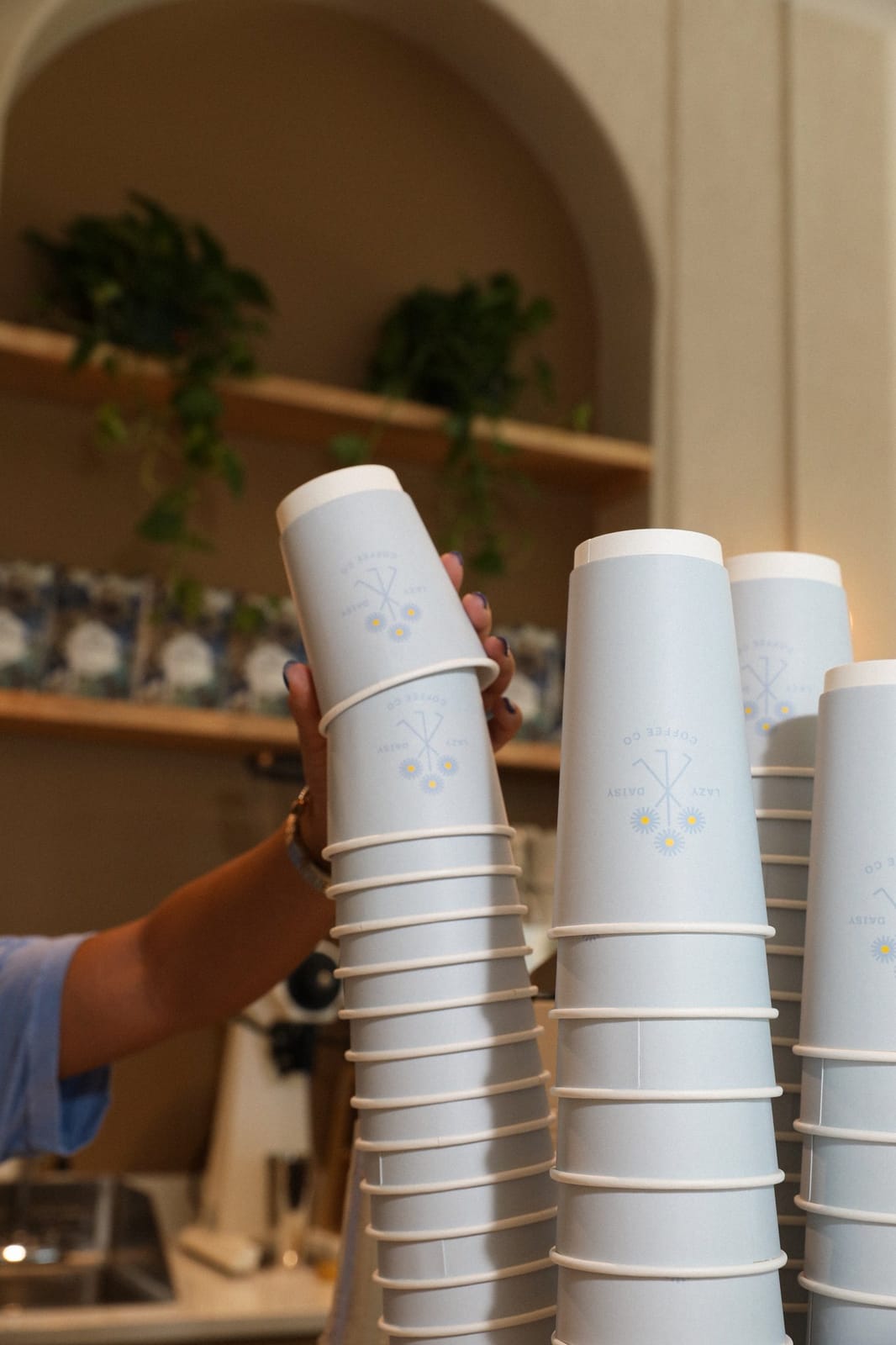 Lazy Daisy Coffee Co. photo 8