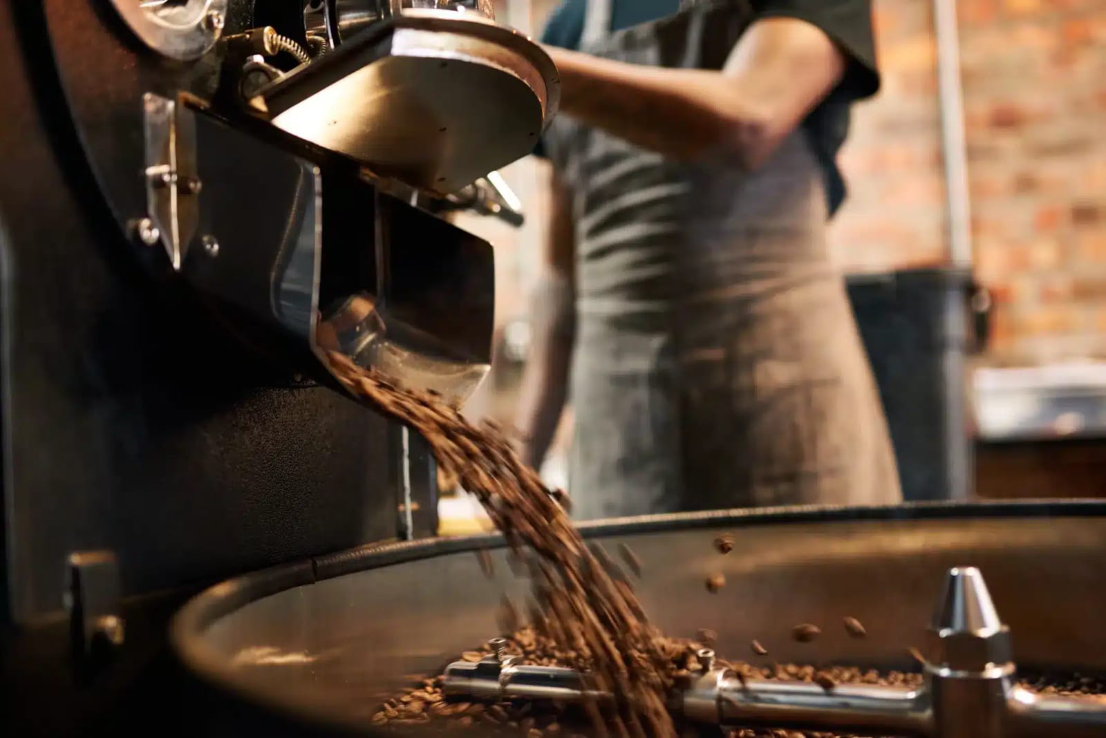 Berk's Beans Coffee photo 4