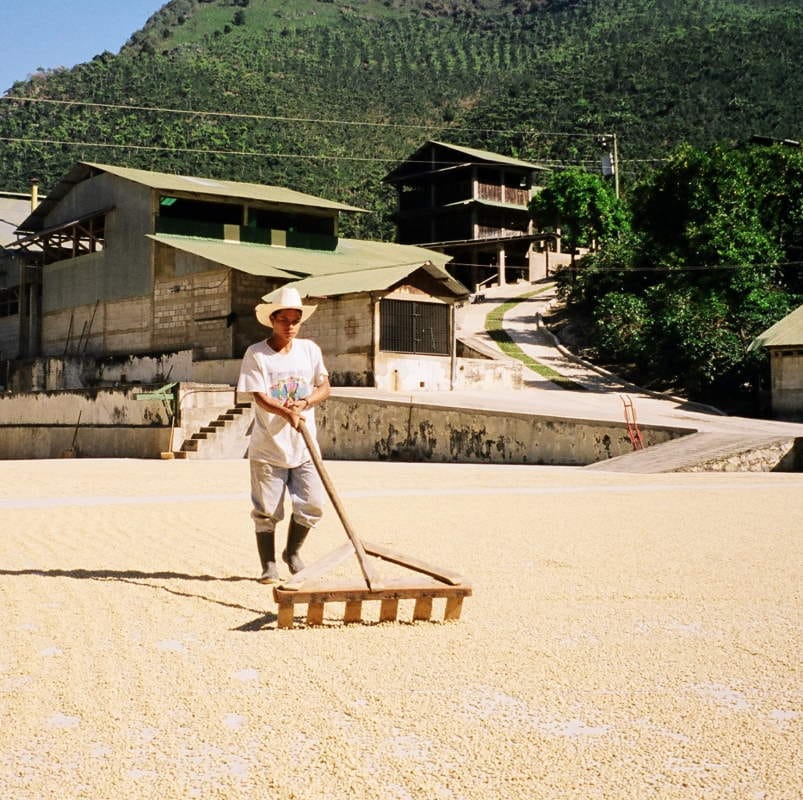 Kéan Coffee Artisan Roasters photo 2