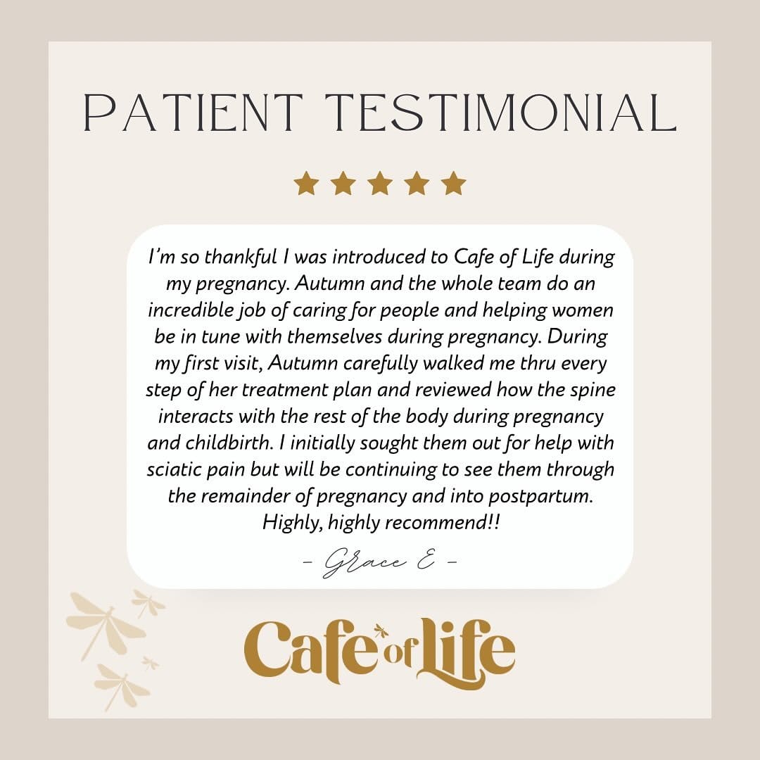Cafe of Life Chiropractic photo 8