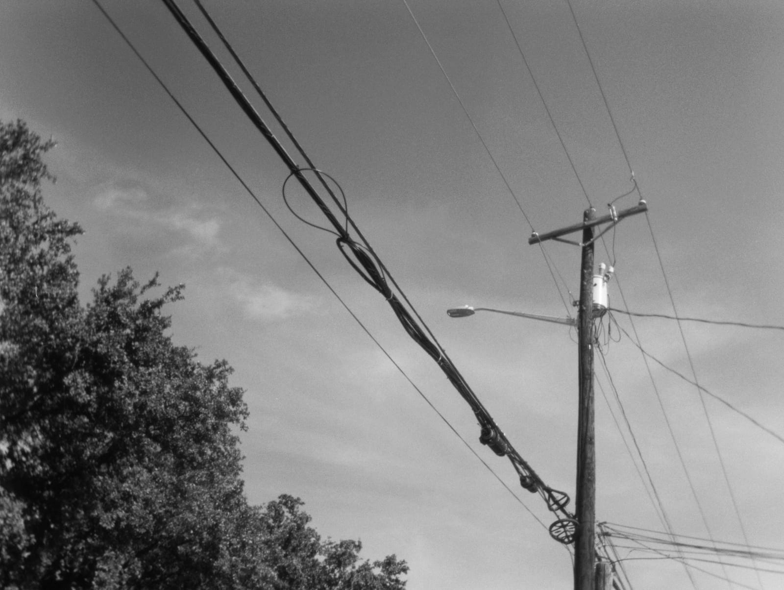 Triptych Coffee Co. photo 2