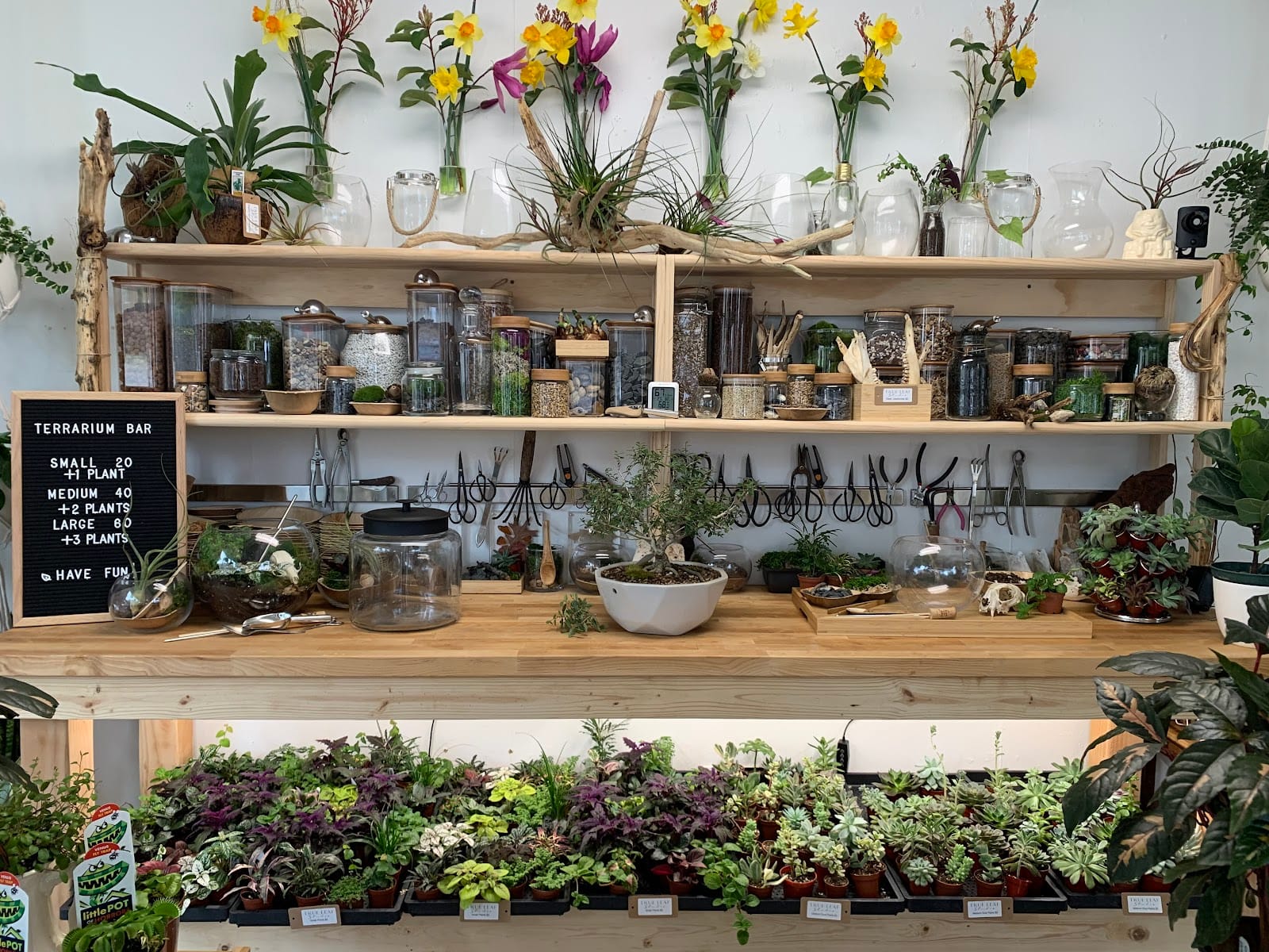 True Leaf Studio