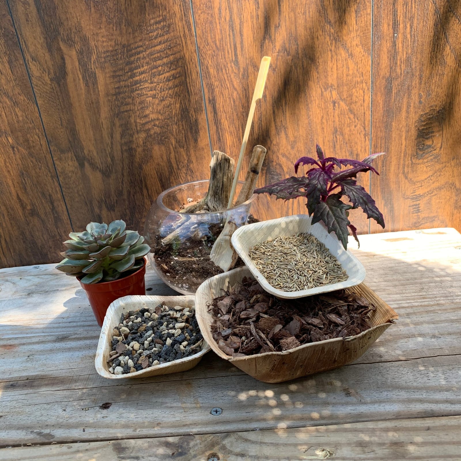 True Leaf Studio photo 4