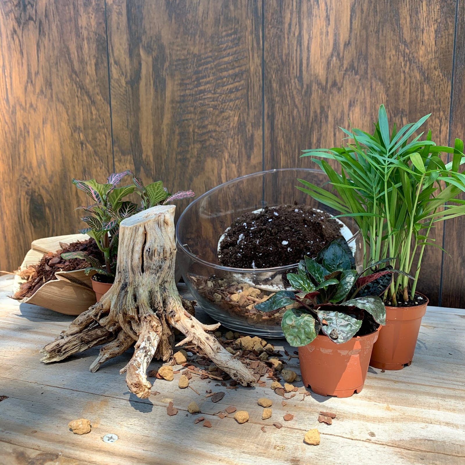 True Leaf Studio photo 5