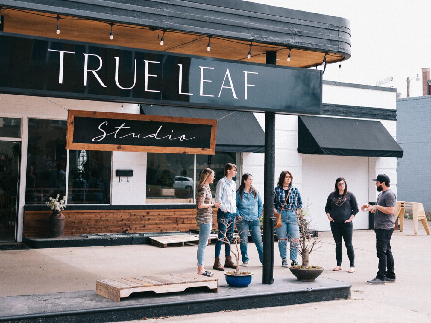 True Leaf Studio photo 7