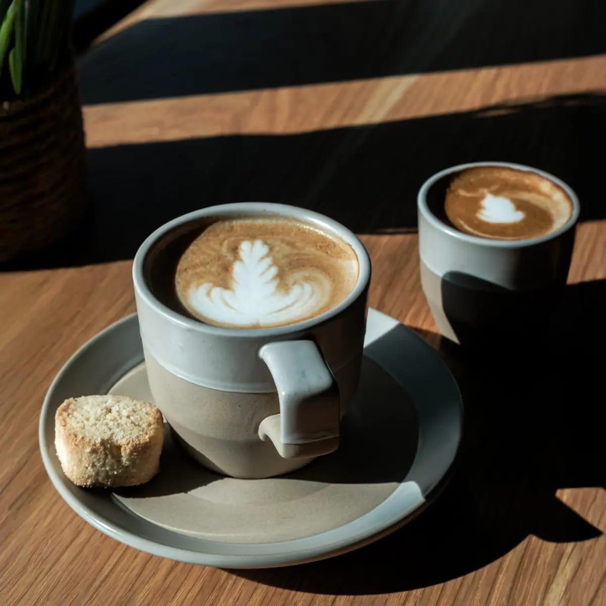 Cafecito photo 6
