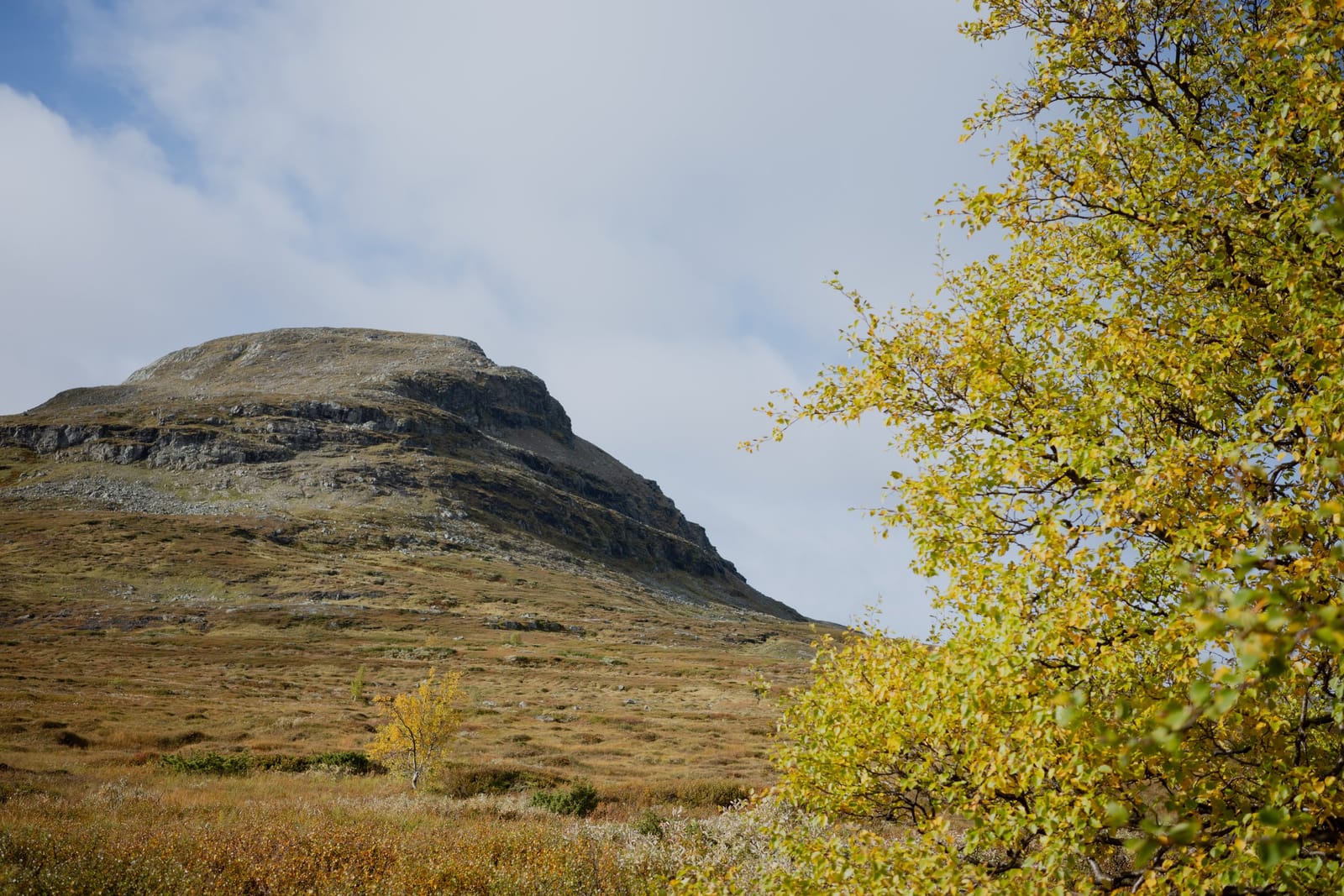 Kaffe Åre photo 5