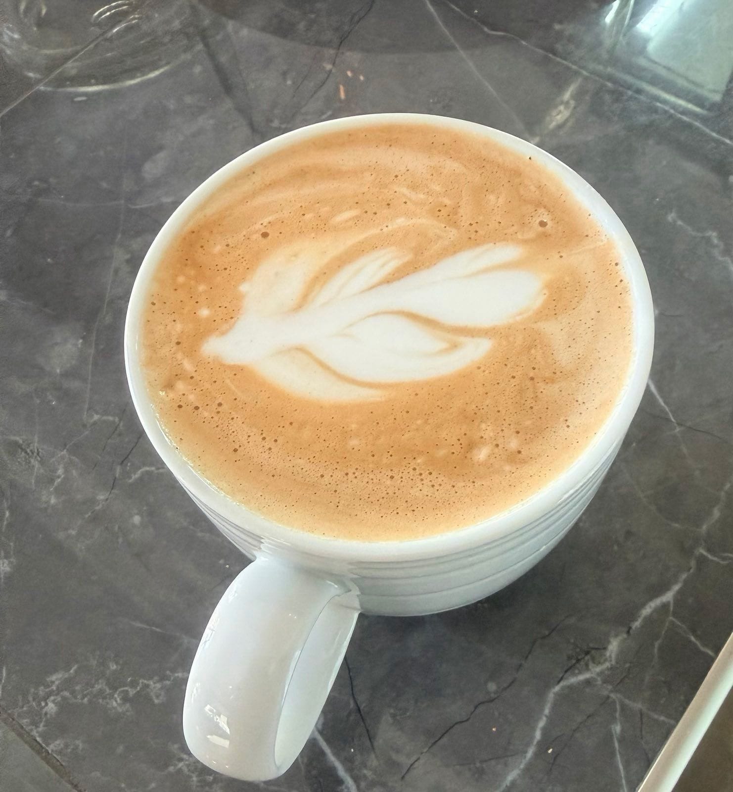 Paradiso Cafe photo 3