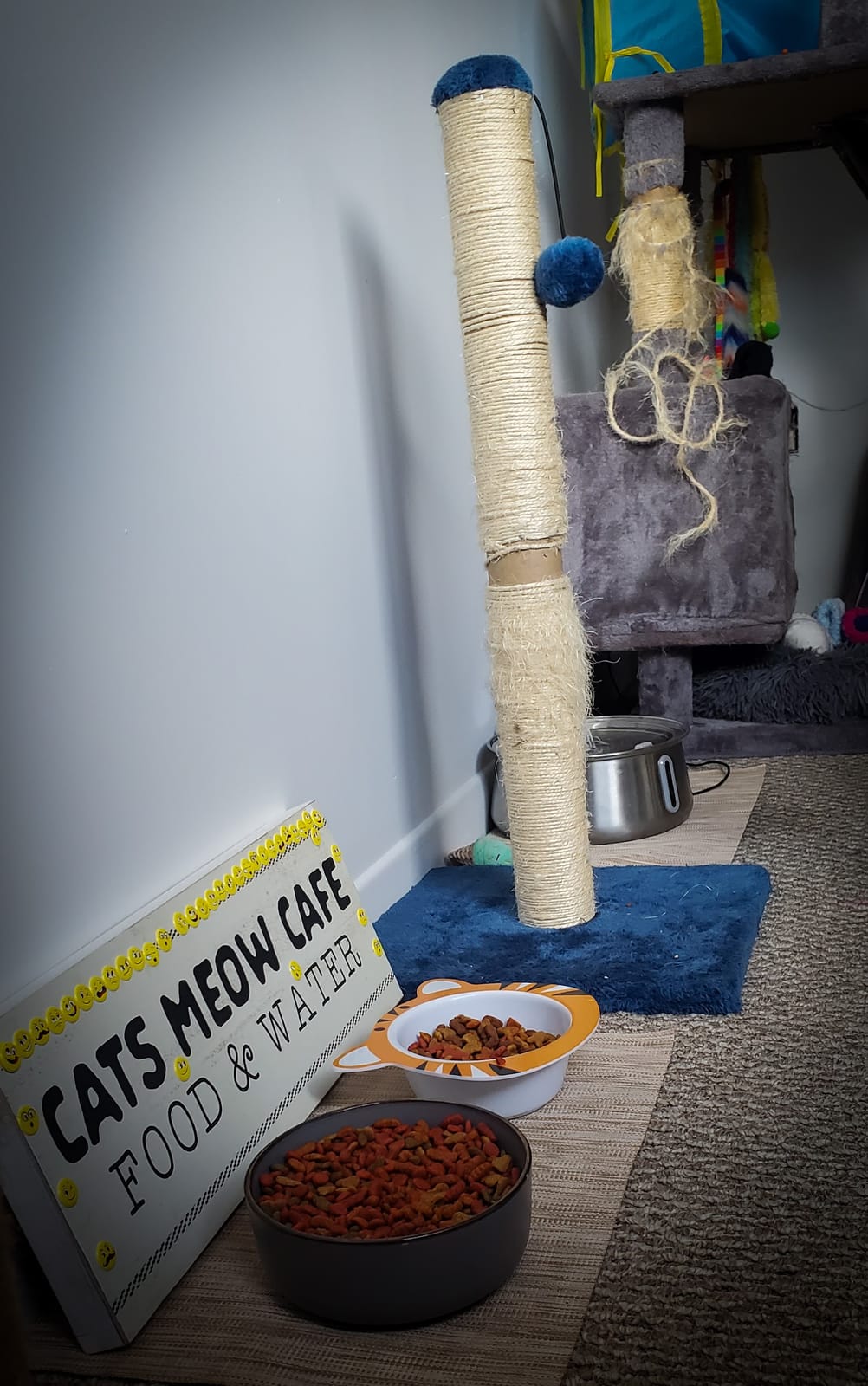 Cats Meow Cafe
