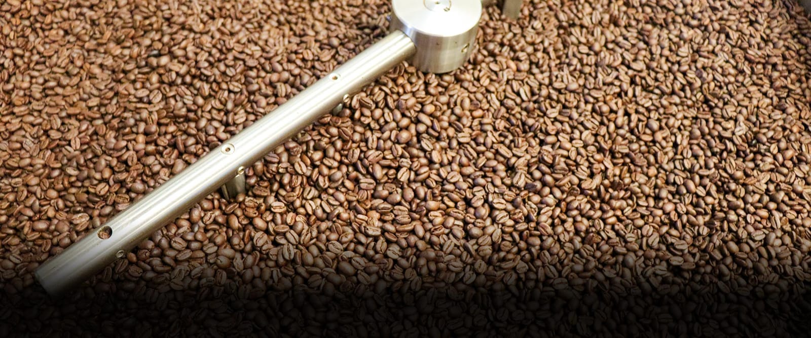 Daymar Select Fine Coffees