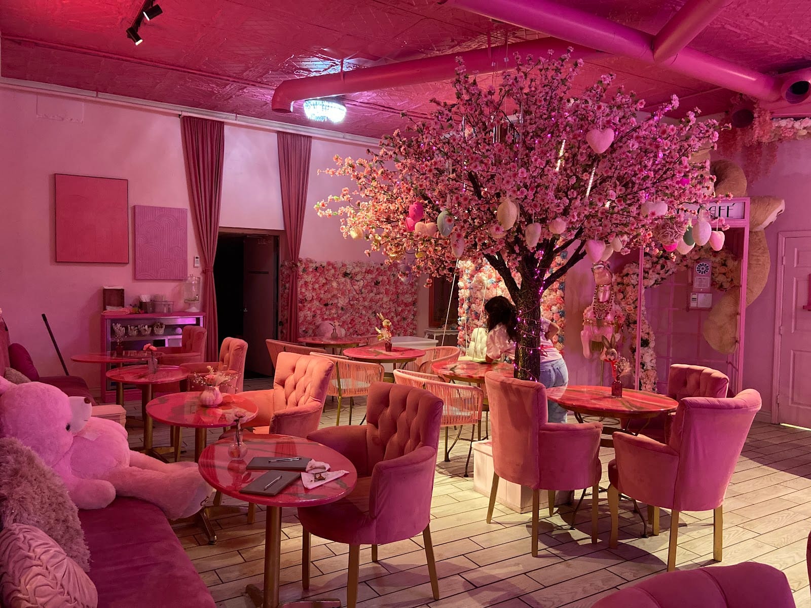 AMO the Pink Cafe in El Paso