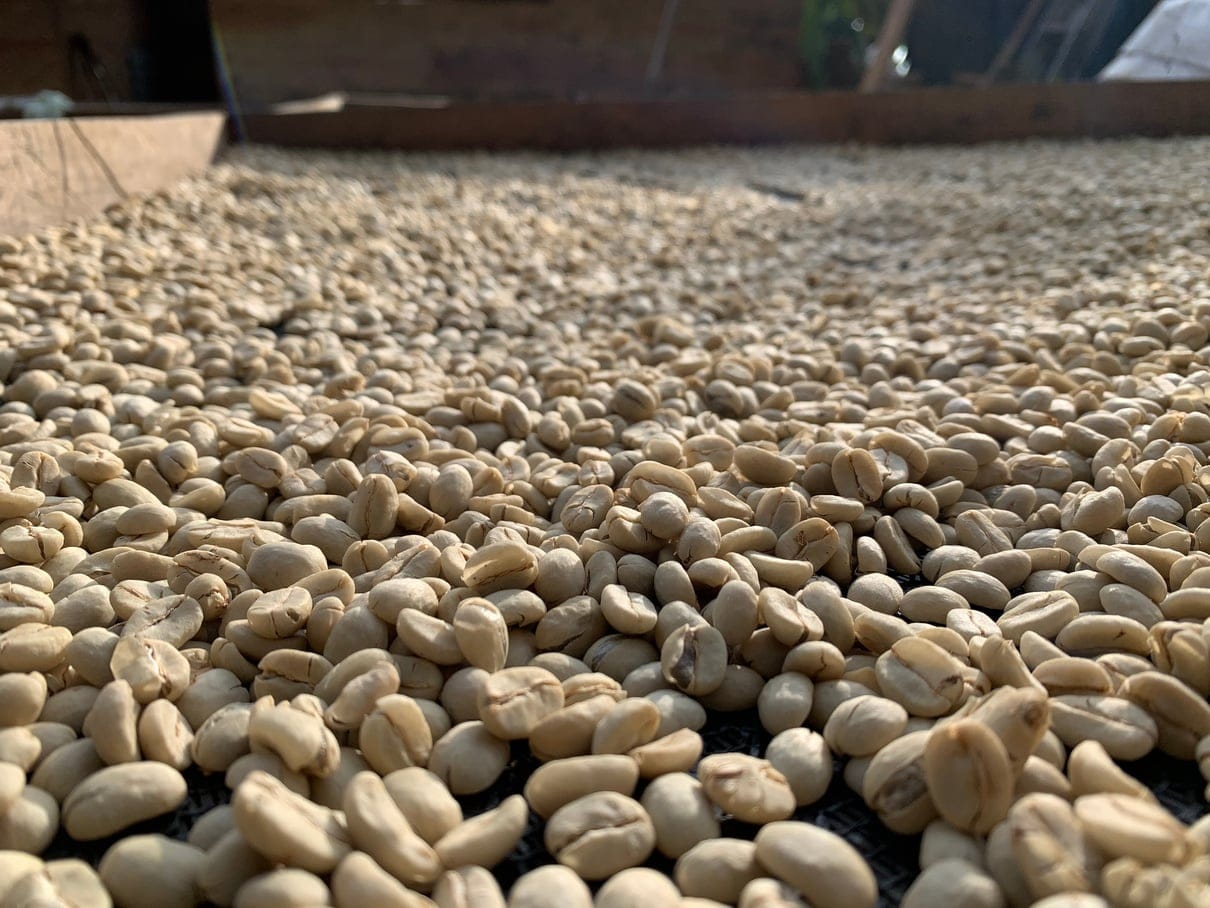 Casa Cafetzin Coffee Roasters photo 7