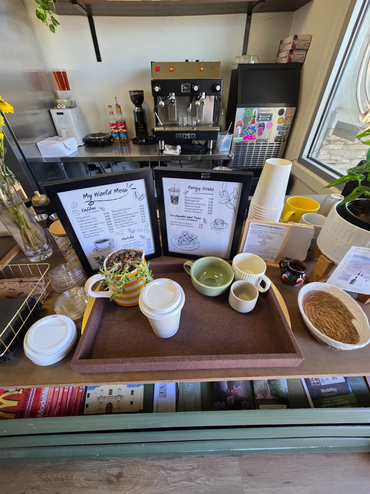 Monstera Deliciosa Café