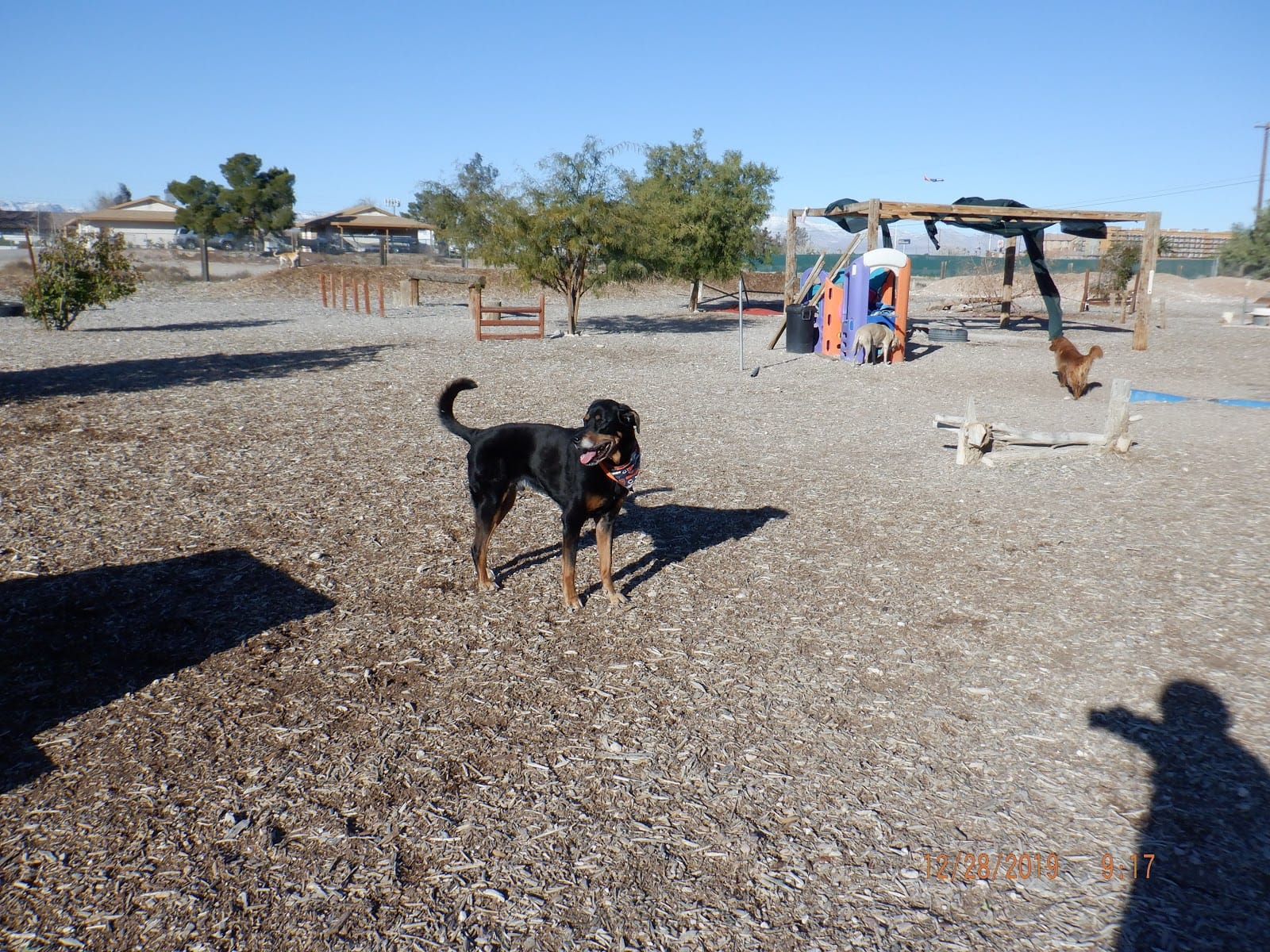 K-9 Kountry