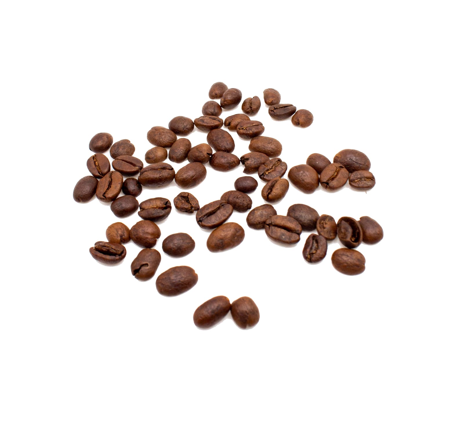 Tailored Coffee Roasters photo 3