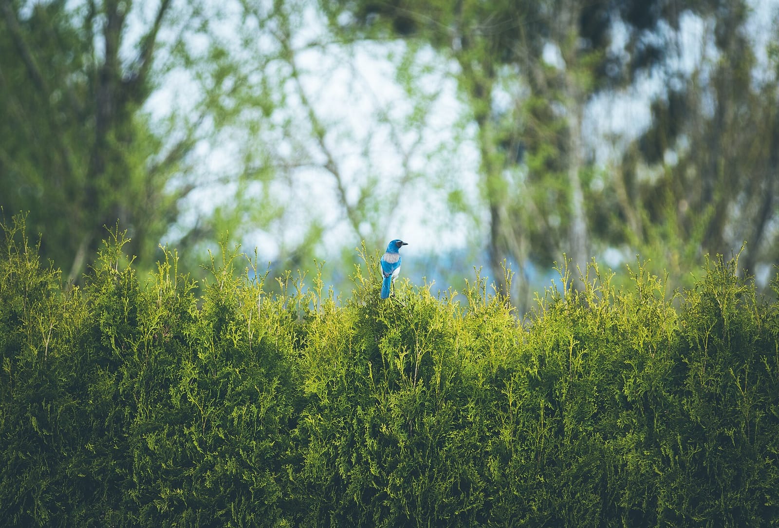 Mr. Brew photo 3