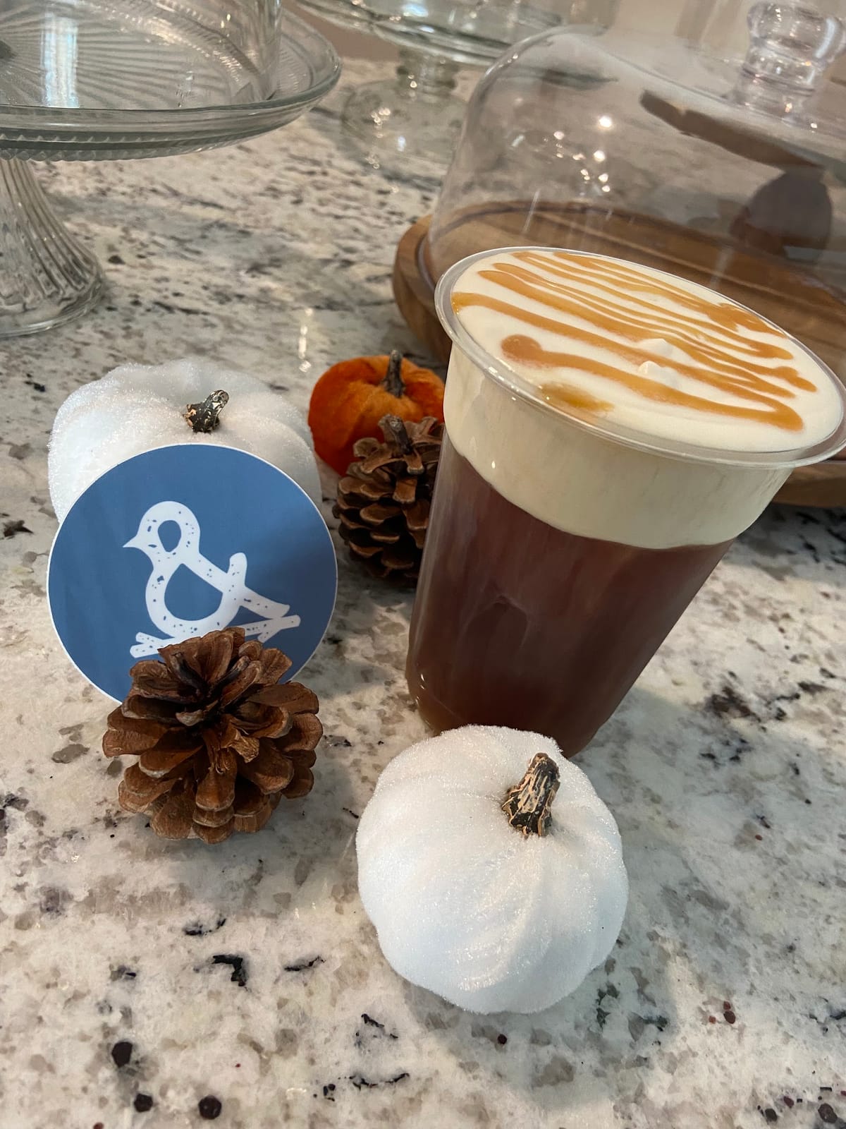 Dove & Twig Cafe