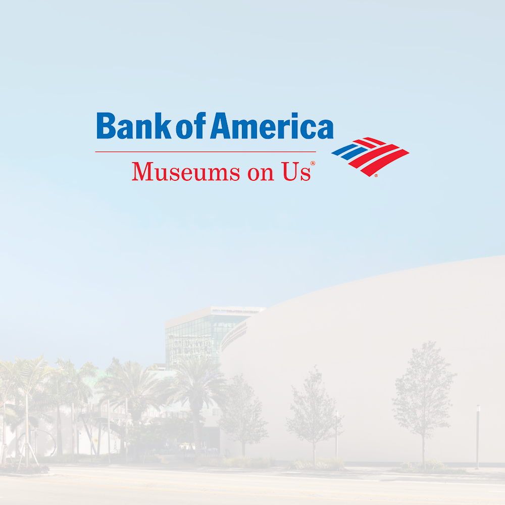 NSU Art Museum Fort Lauderdale photo 6