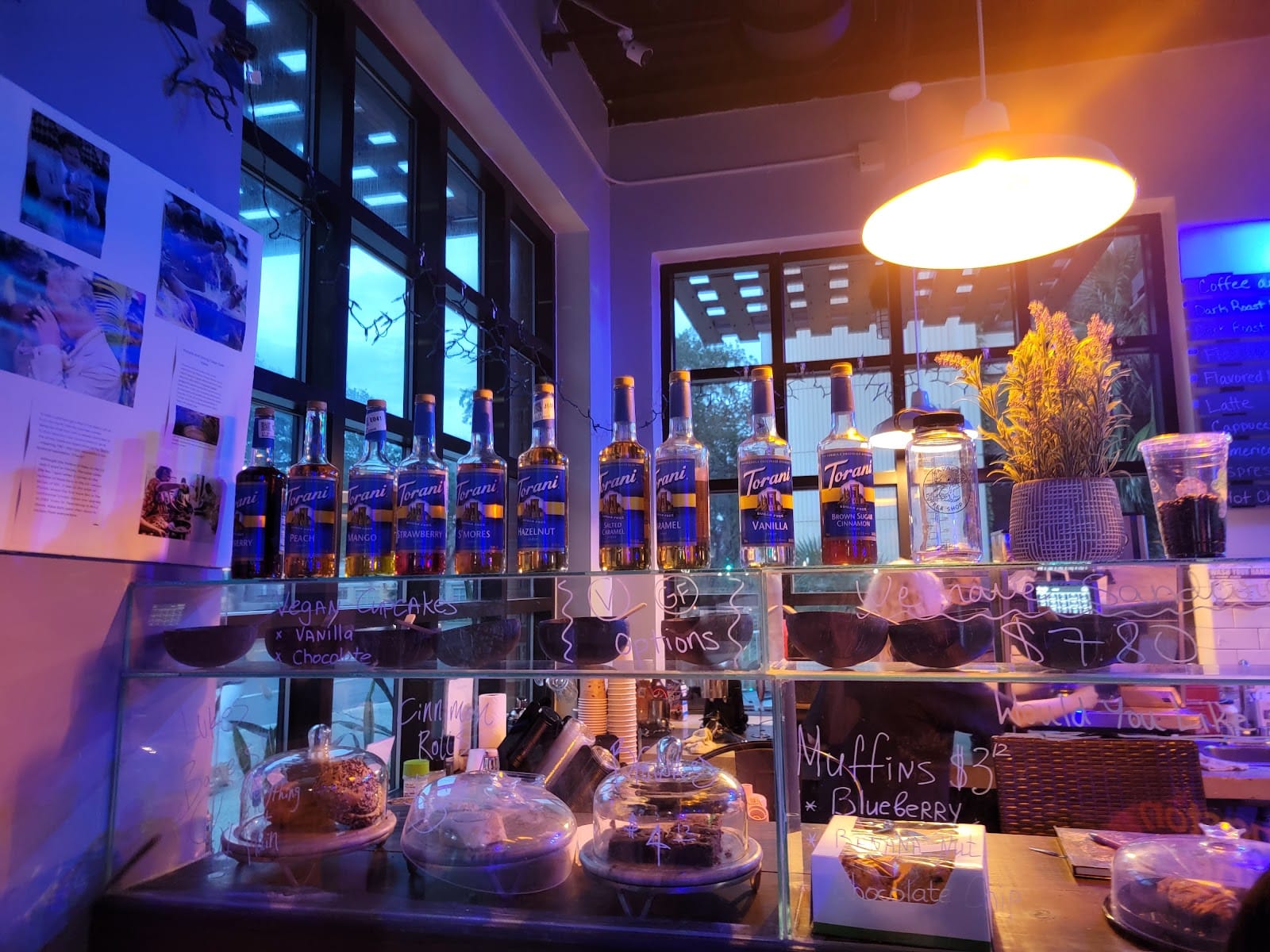 Kava Gator Coffee Shop