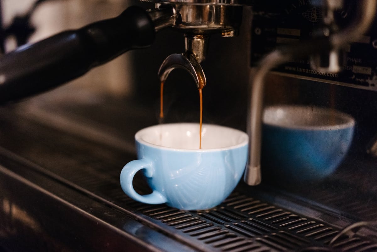 The Chipped Cup photo 4