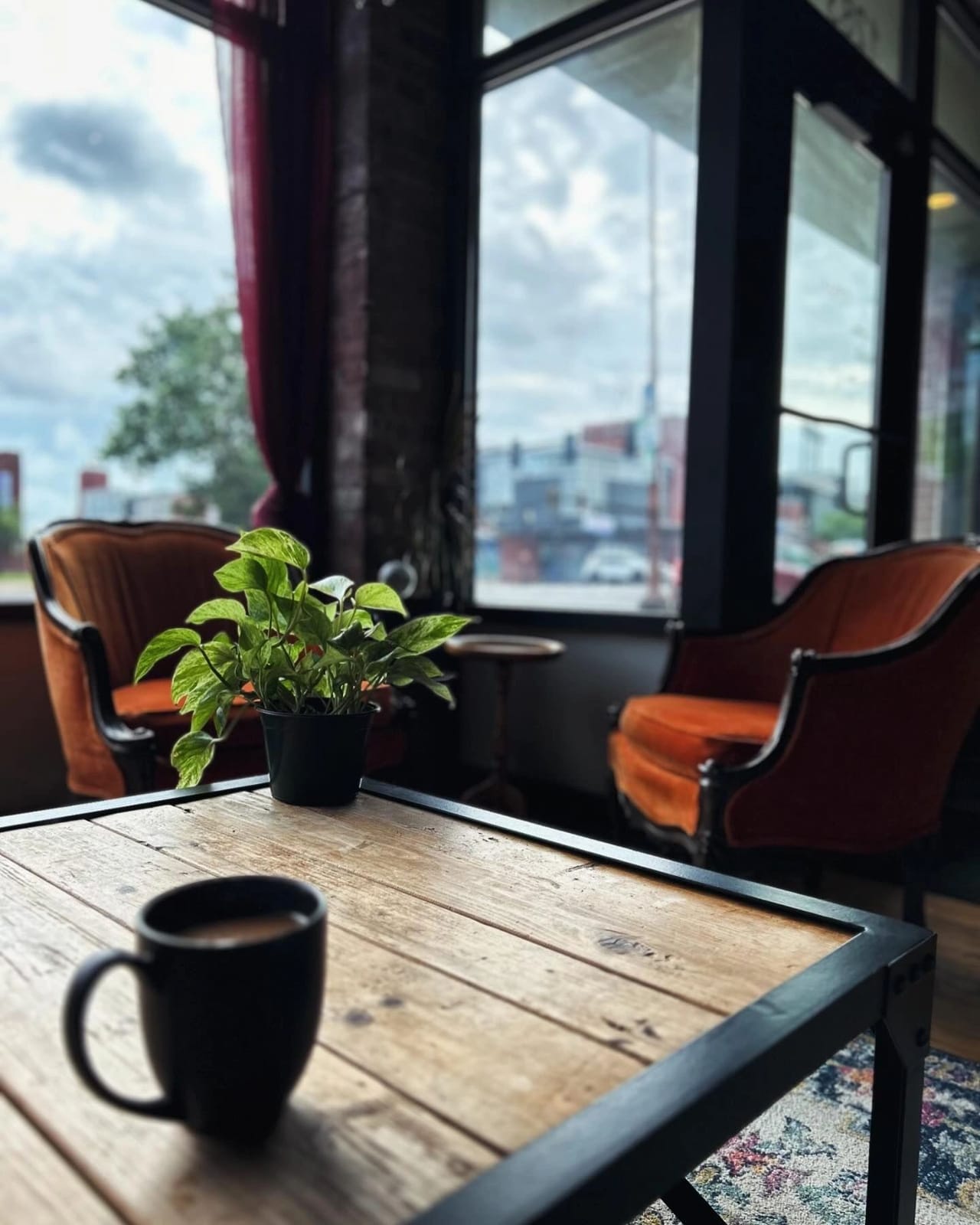 Semilla Cafe + Studio photo 2