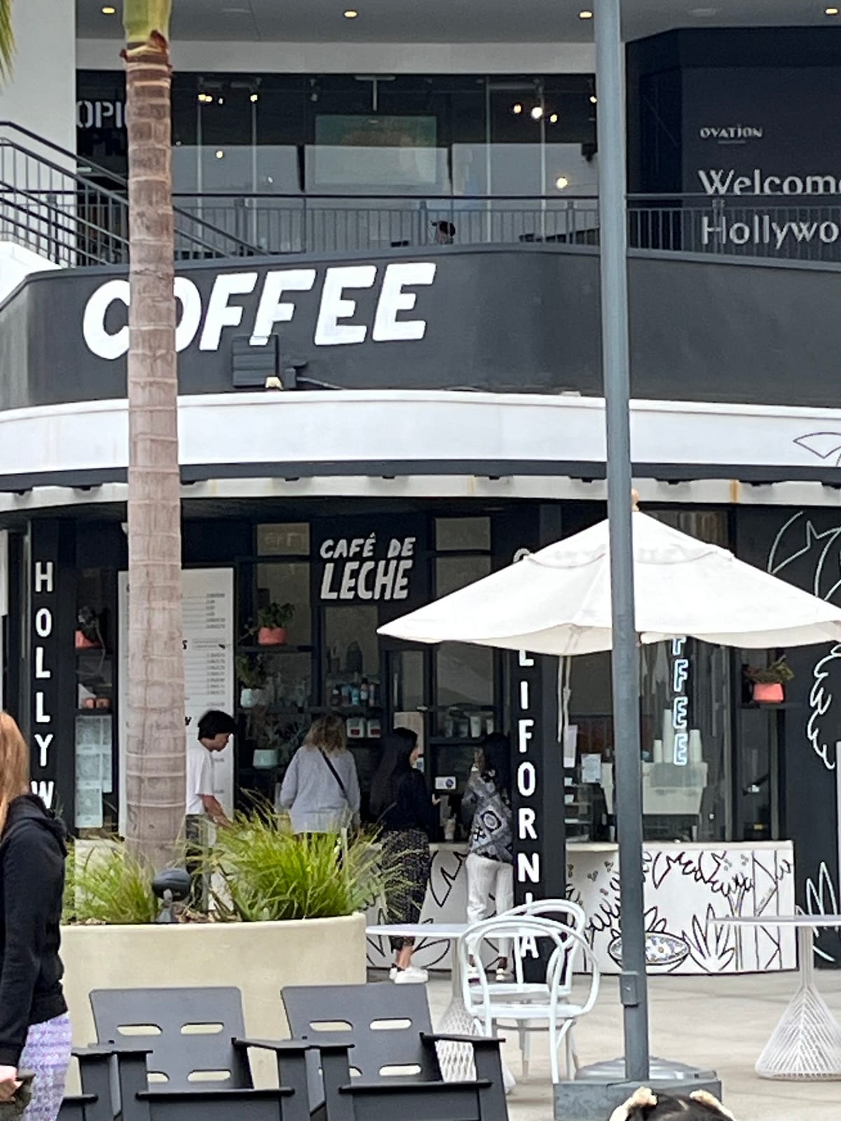 Cafe de Leche