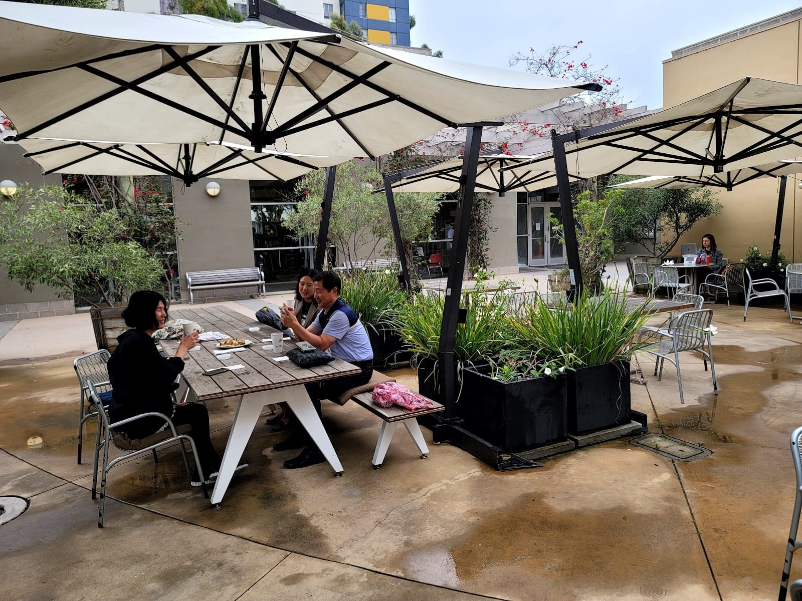 Curson Café