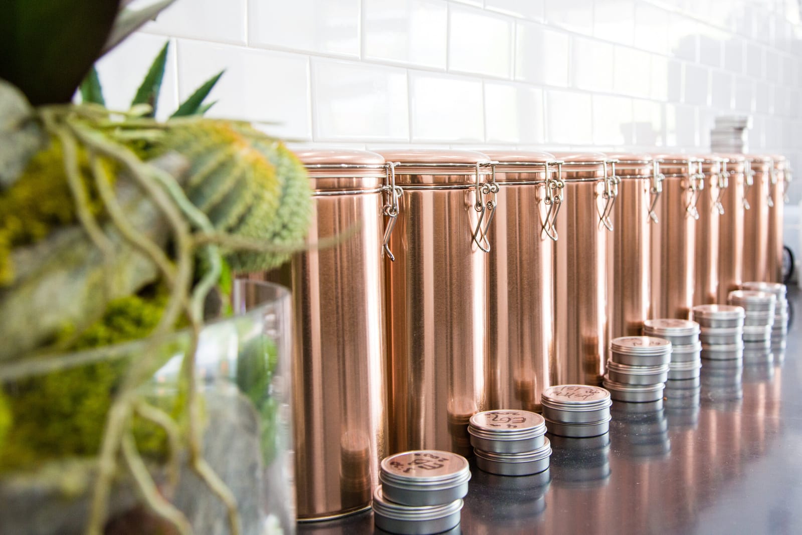 Constellation Coffee photo 5