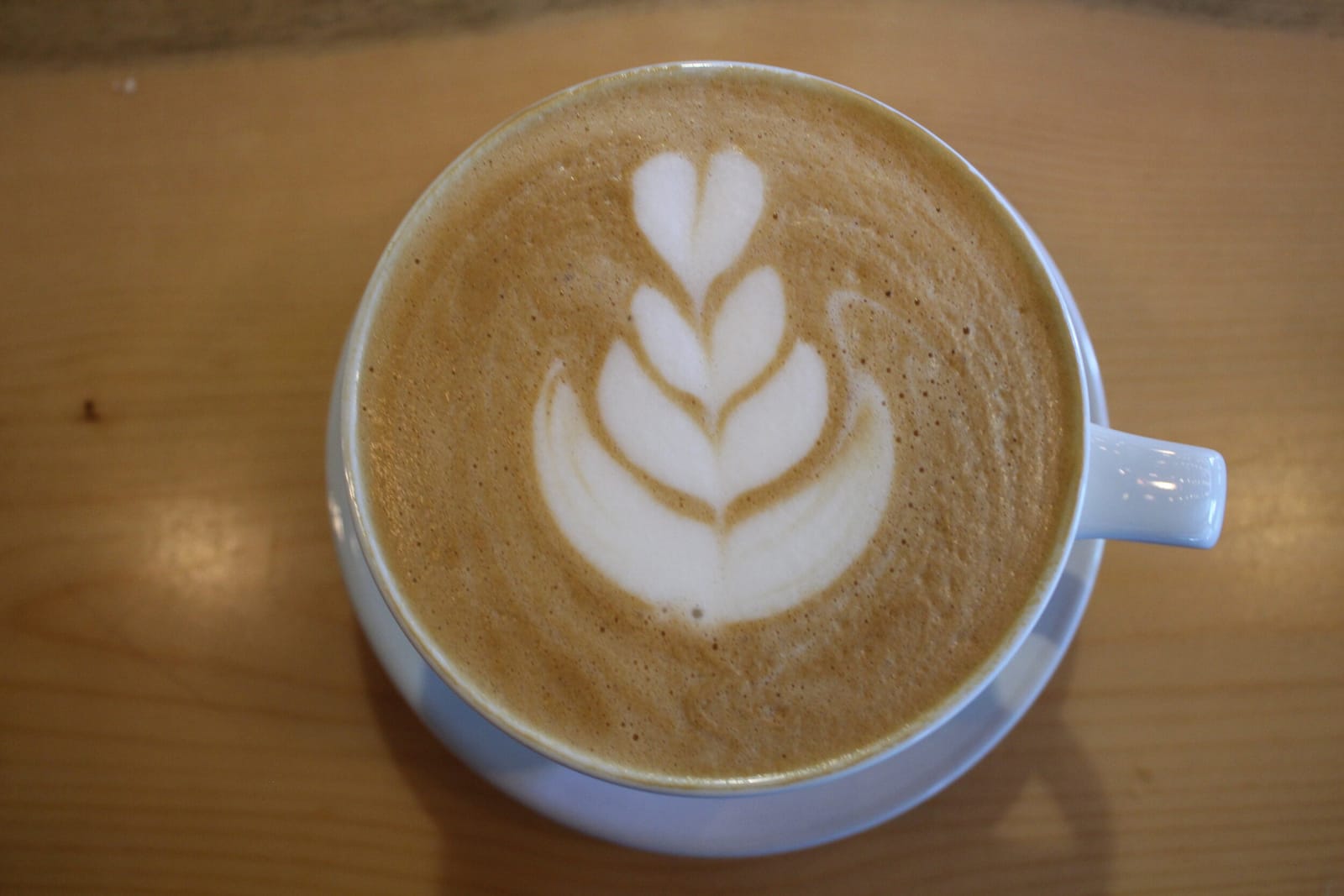 Bird Tree Cafe photo 6