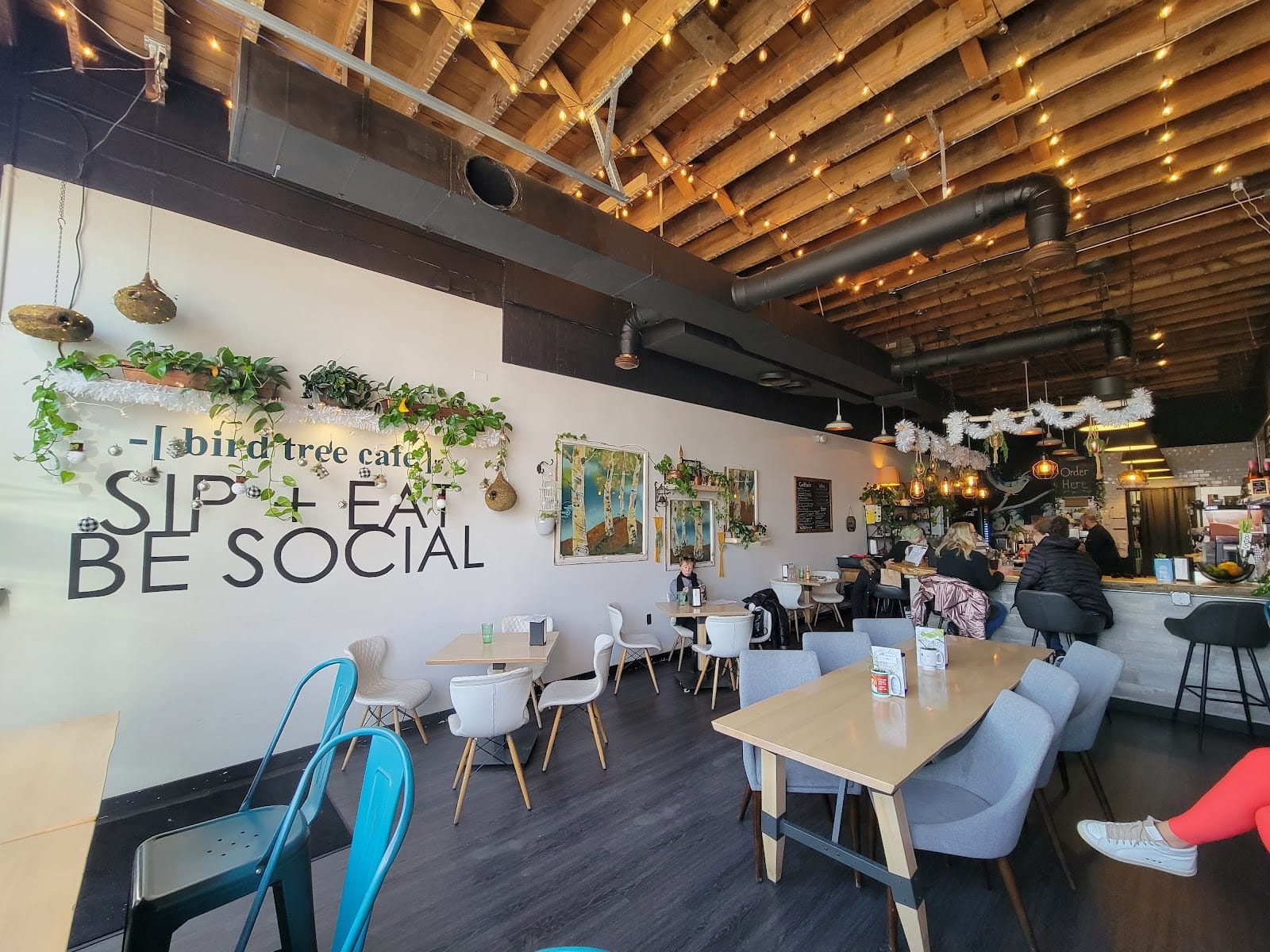 Bird Tree Cafe