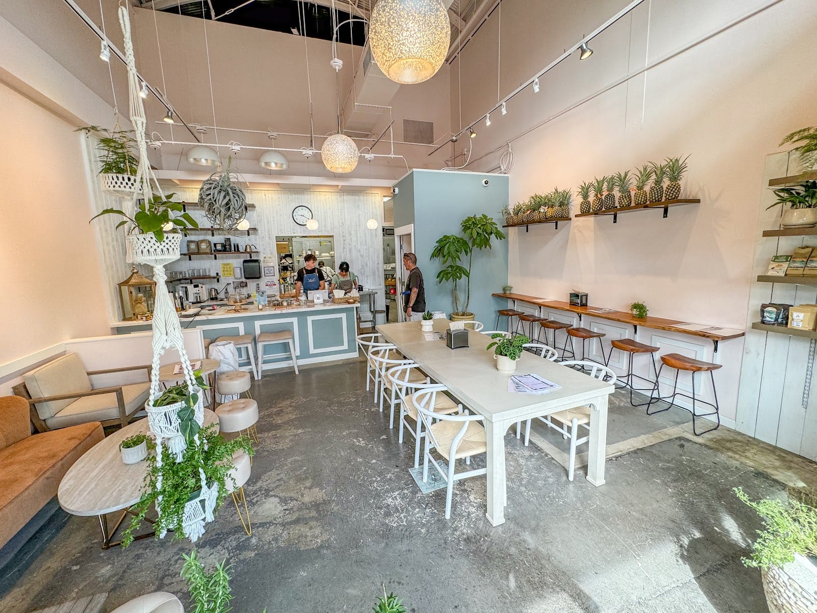 ALO Cafe Hawaii - SALT