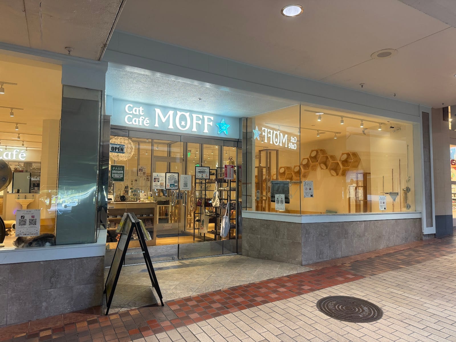 Cat Café MOFF Ala Moana Center