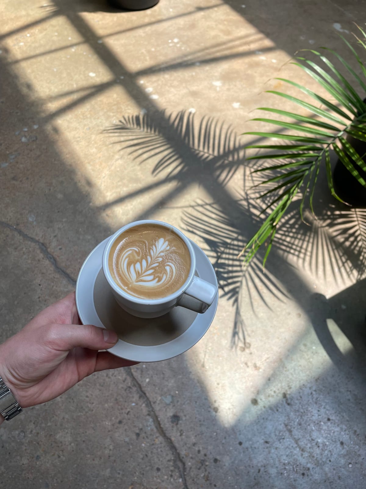 Paper Co. Coffee Bar photo 4