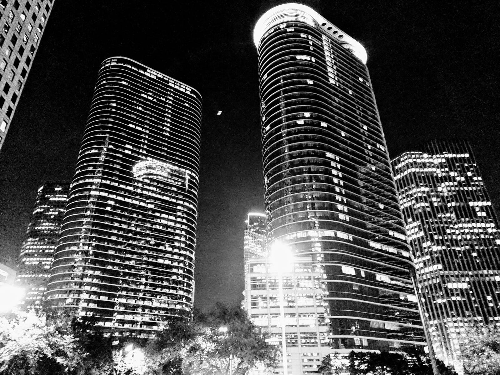 Buffalo Bayou Coffee photo 2