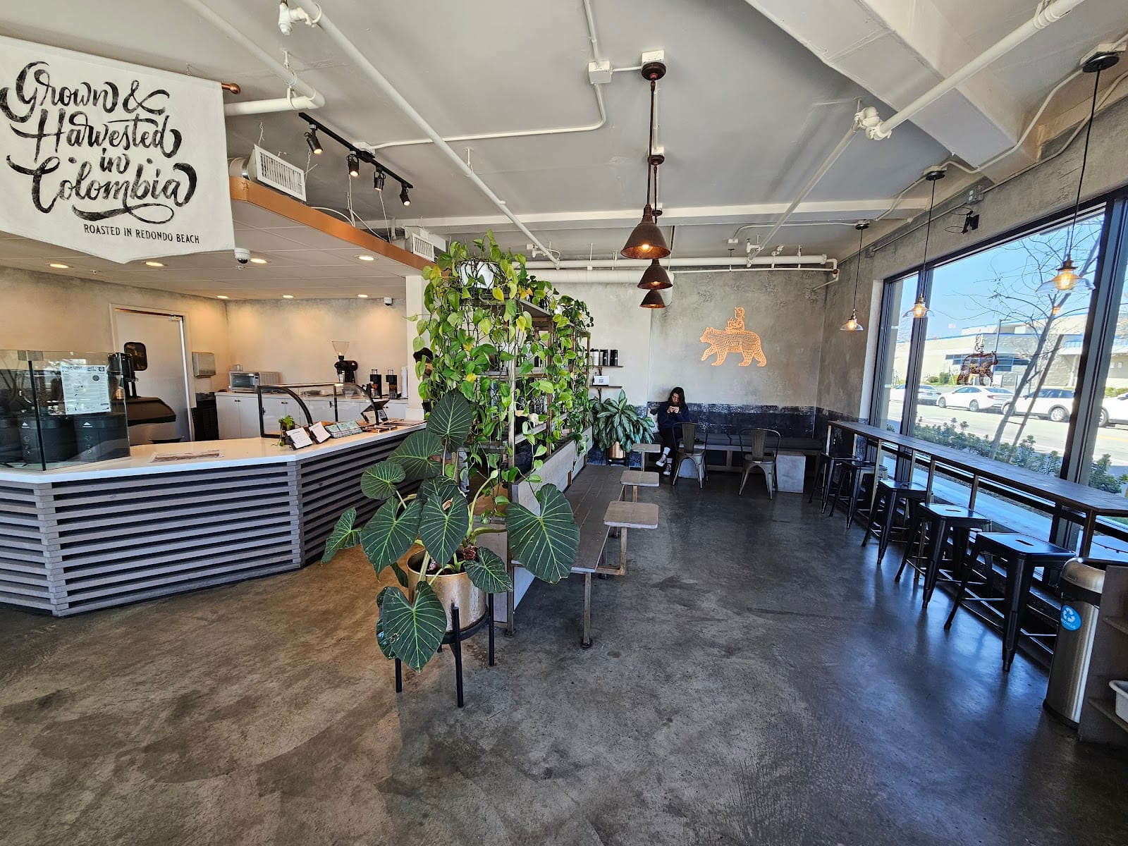 The Boy & The Bear - Coffee Roastery