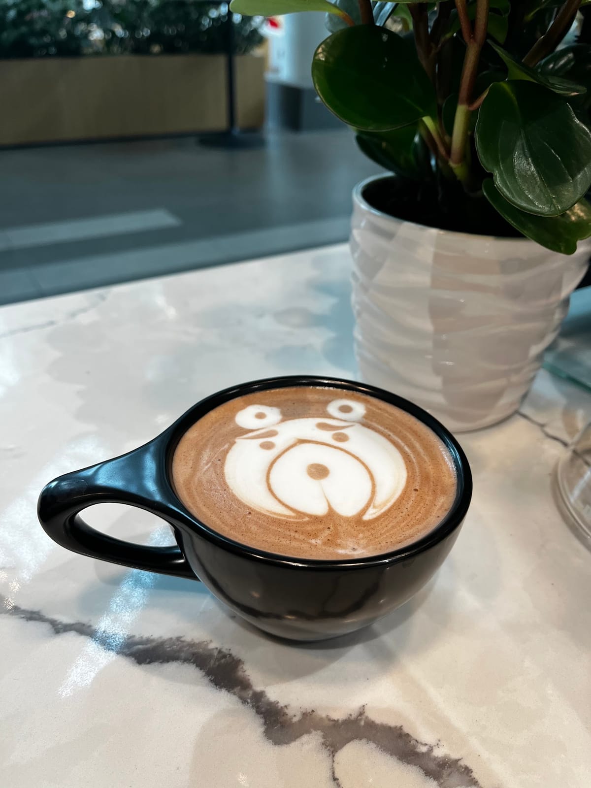 Cassel Earth Coffee
