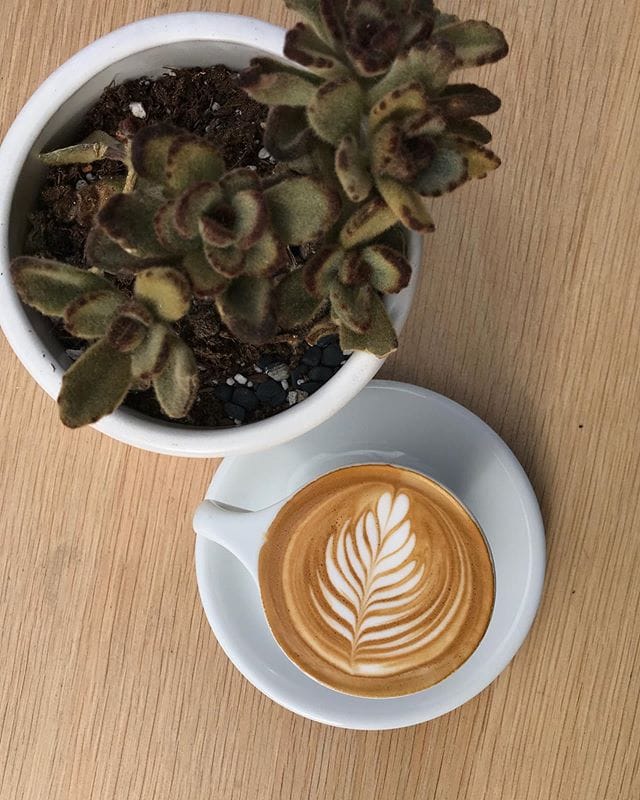 KIT Coffee photo 5