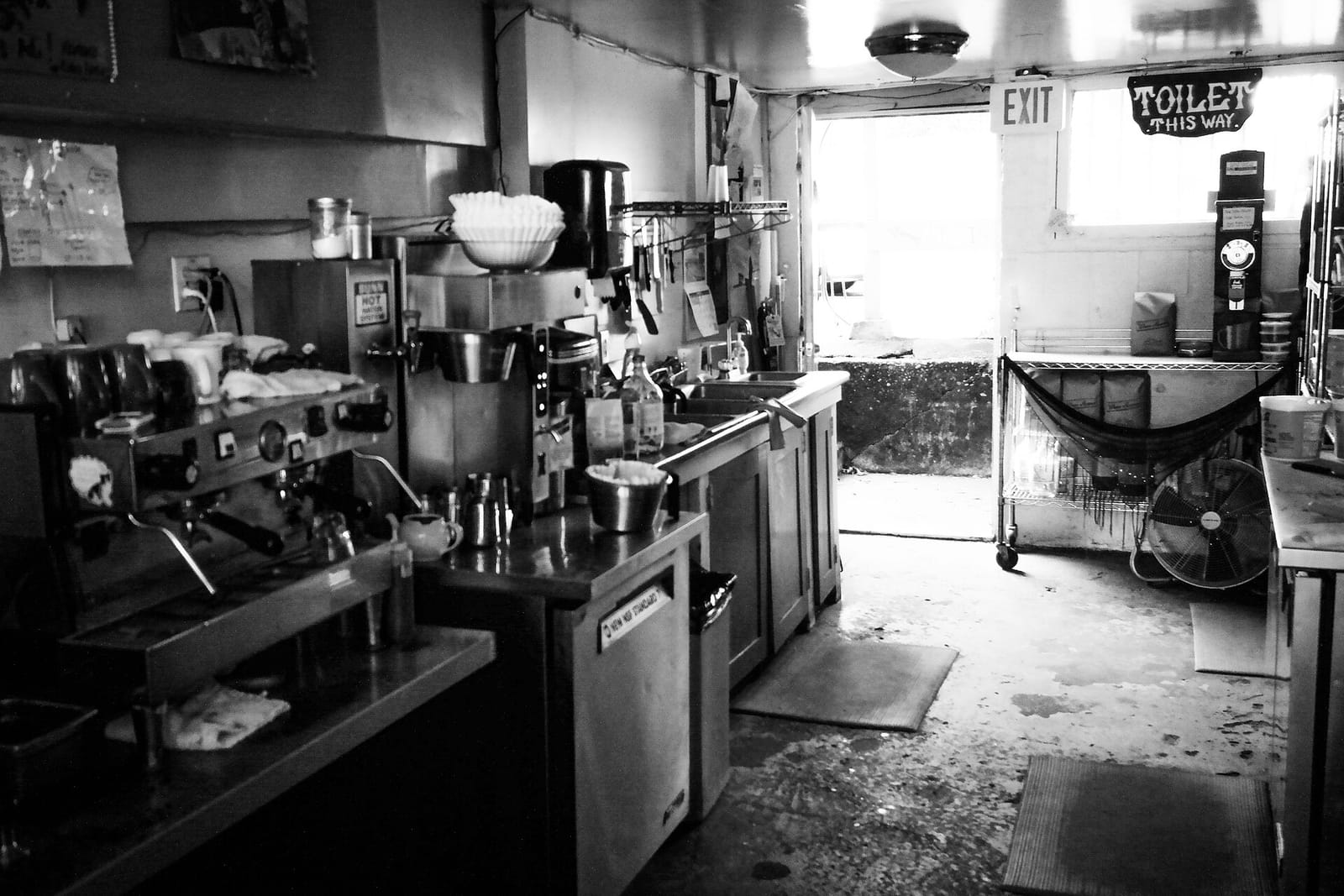 No Preference photo 5