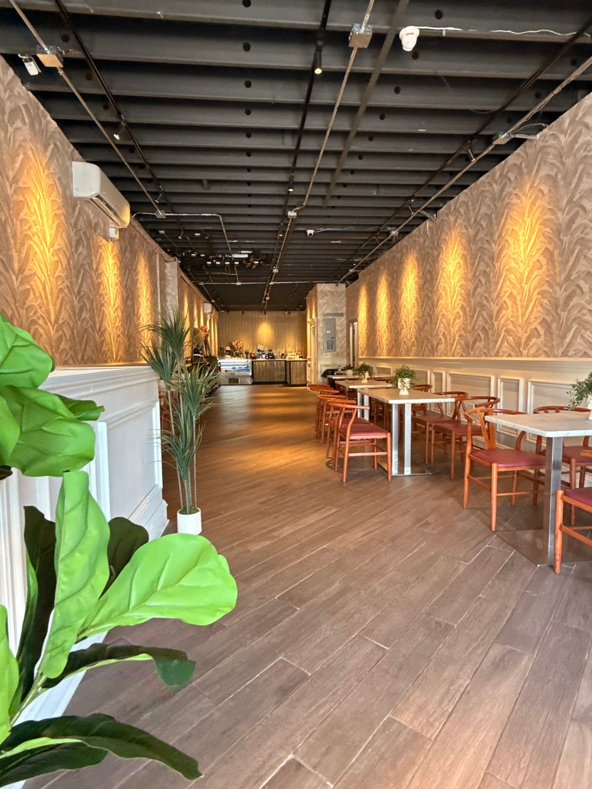 Rauda Cafe