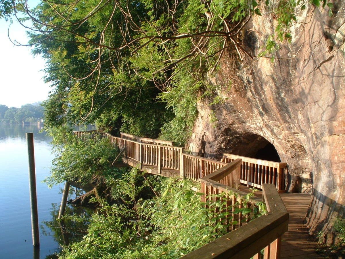 Mia Piccola — South Knoxville photo 9