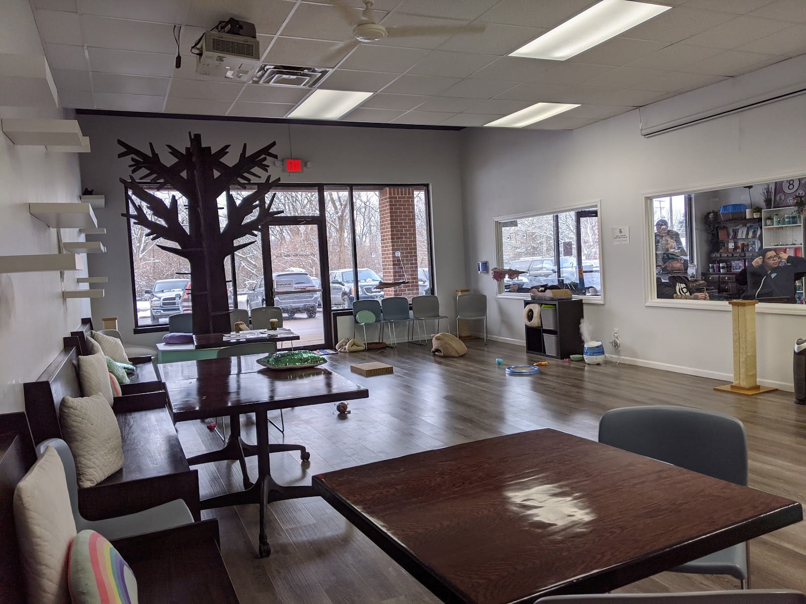 Constellation Cat Cafe