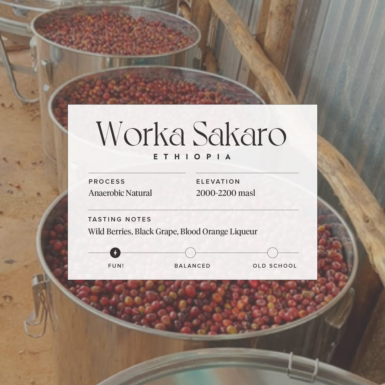 Edison Coffee Co Roastery photo 9